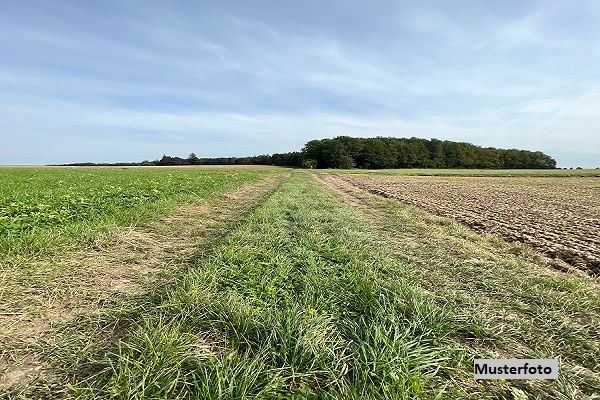 Landwirtschaftsflchen