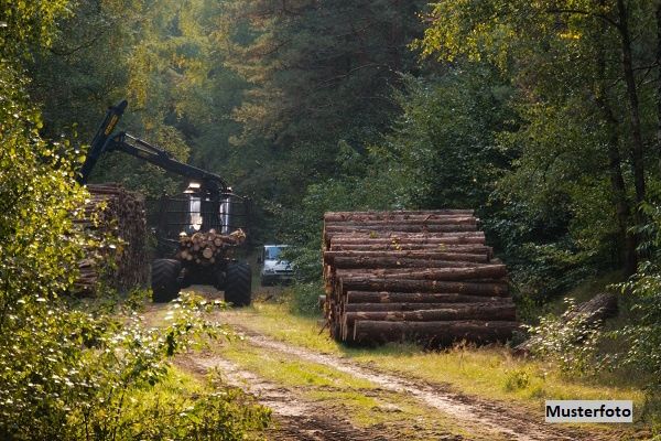 Waldparzellen mit ca. 22 ha - Schutzwald, Wirtschaftswald und Entwicklungspotenzial /  / 6236&nbsp;Alpbach / Bild 0