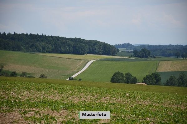 Grnland, Land- und Forstwirtschaftsflche