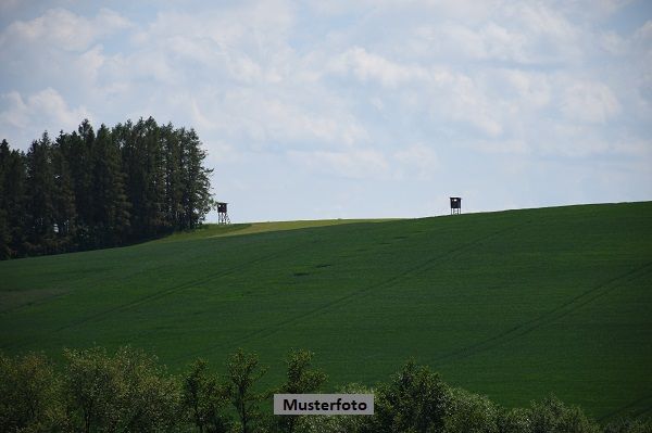 Landwirtschaftliche Grundstcke