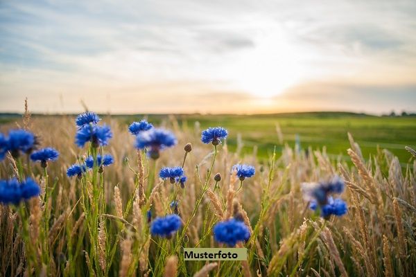 Land- und Forstwirtschaftsflche