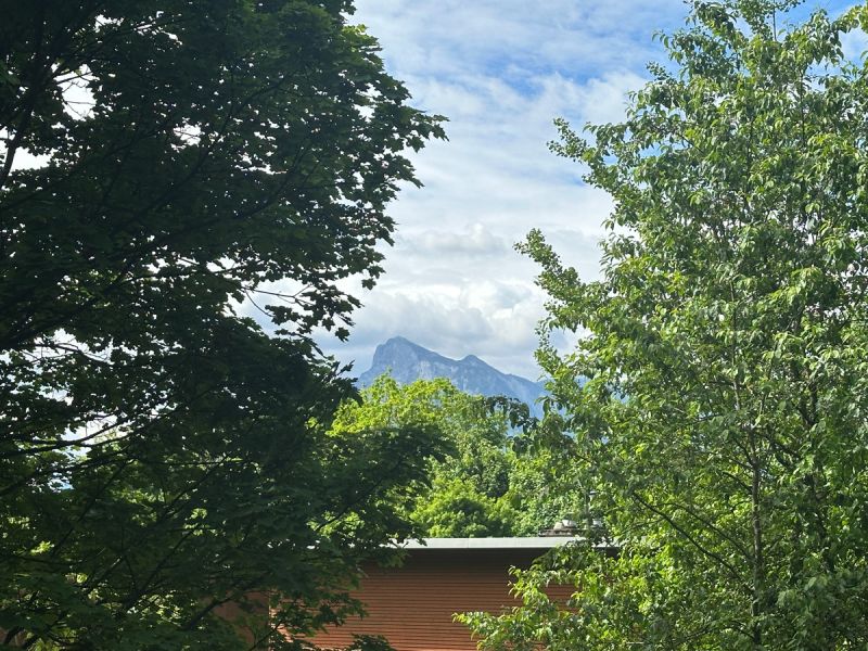 Ruhig wohnen in begehrter Top-Lage ? Mit Blick ins Grne! /  / 5020 Salzburg / Bild 6