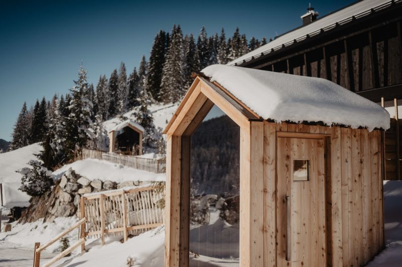 Birgkar - Mountain Hideaway Lodge 2 - Holunder /  / 5505 Mhlbach am Hochknig / Bild 3