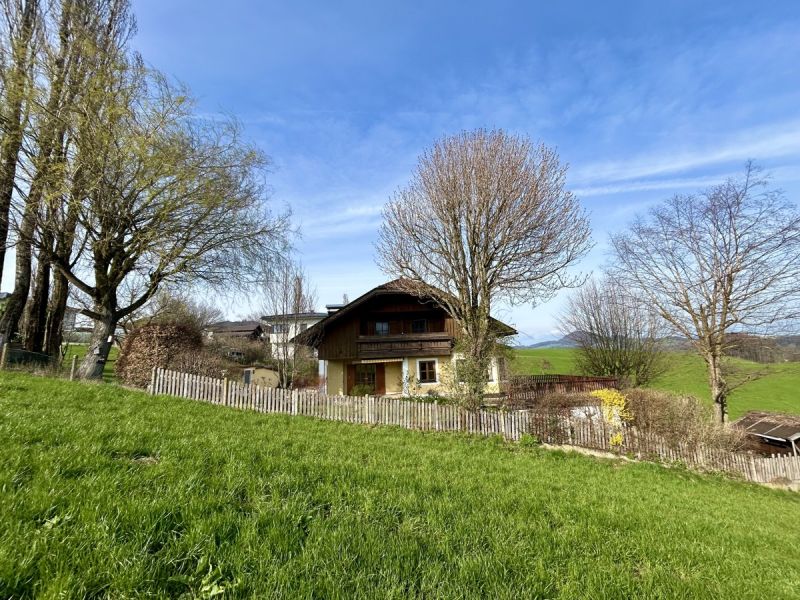 "Waldromantischer Familientraum" in Obertrum /  / 5162 Obertrum am See / Bild 2