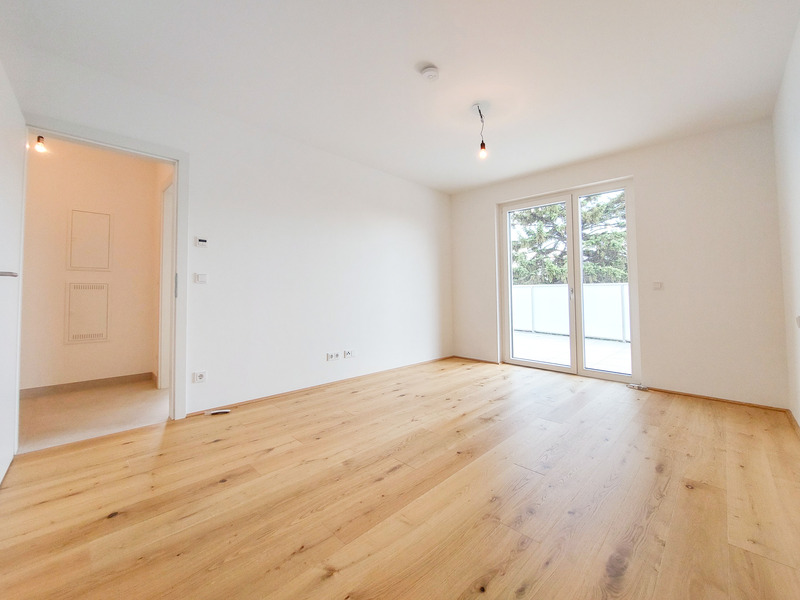 An der Sonnenseite. Helle 3-Zimmer Wohnung mit Terrasse in der Nhe der Donau-Auen. Bezugsfertig /  / 1220 Wien / Bild 1