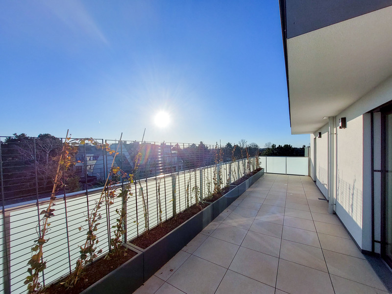 Gleich einziehen: Aussicht mit Weitsicht bietet dieses feine 4-Zimmer Penthouse mit 157 m in Aspern /  / 1220 Wien / Bild 9
