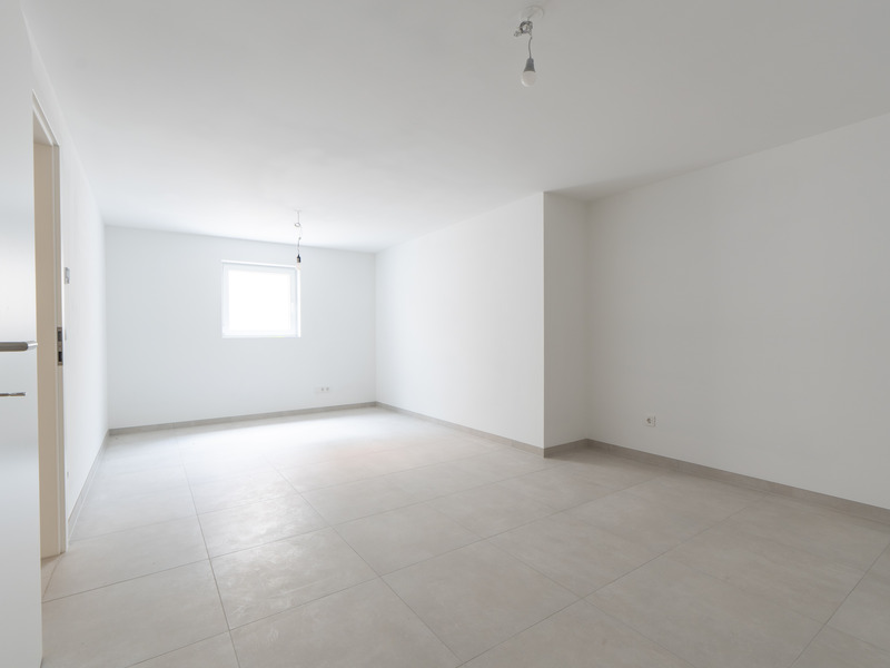Wohnen bei der U1-Station Leopoldau. Modernes Niedrigenergiehaus in Premium-Ausf�hrung auf Eigengrund /  / 1210&nbsp;Wien / Bild 2