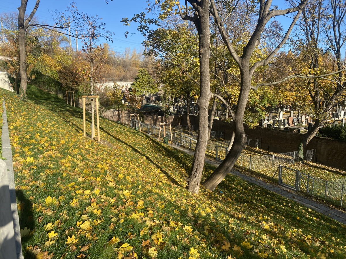 Townhouse - 3 Zimmer Gartenwohnung +  2 Bder - ERSTBEZUG = DAS LAURENZ = 2 bedroom apartment+garden /  / 1110 Wien / Bild 10