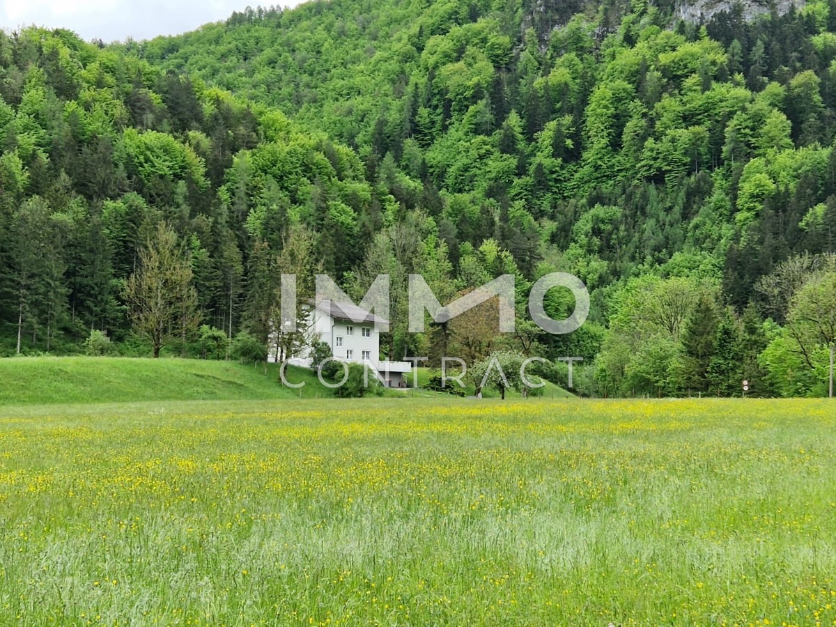 Zweifamilienhaus - absolute Alleinlage / / 3291 Kienberg / Bild 1