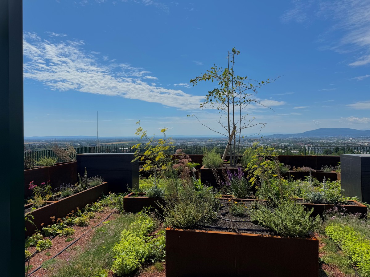 Provisionsfrei - Wie im Urlaub! Luxuris Wohnen - 4. Stock mit Ausblick /  / 1100 Wien, Favoriten / Bild 8