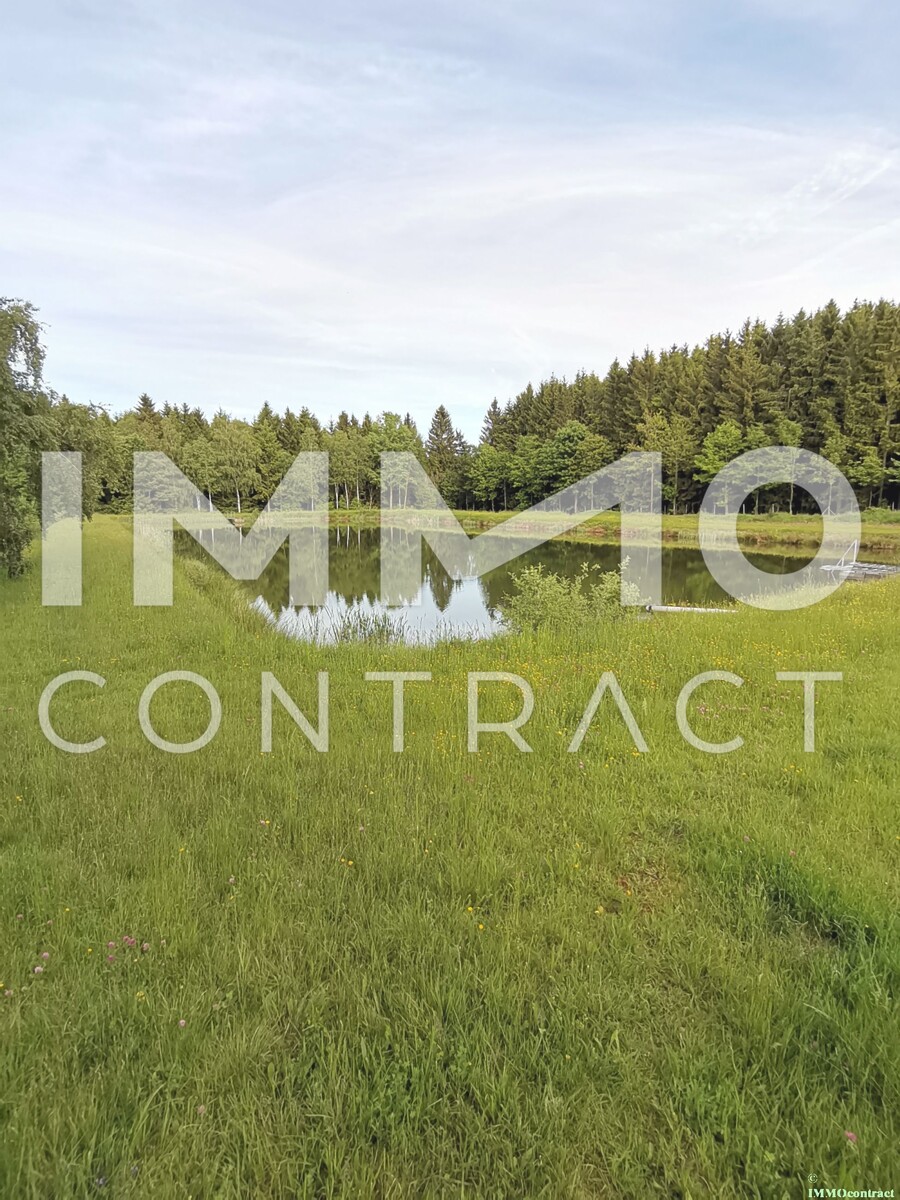 Groes Grundstck mit Fischteich und Badeteich, Erholungsanlage, Freizeitparadies mit viel Potenzial /  / 3632 Bad Traunstein / Bild 9