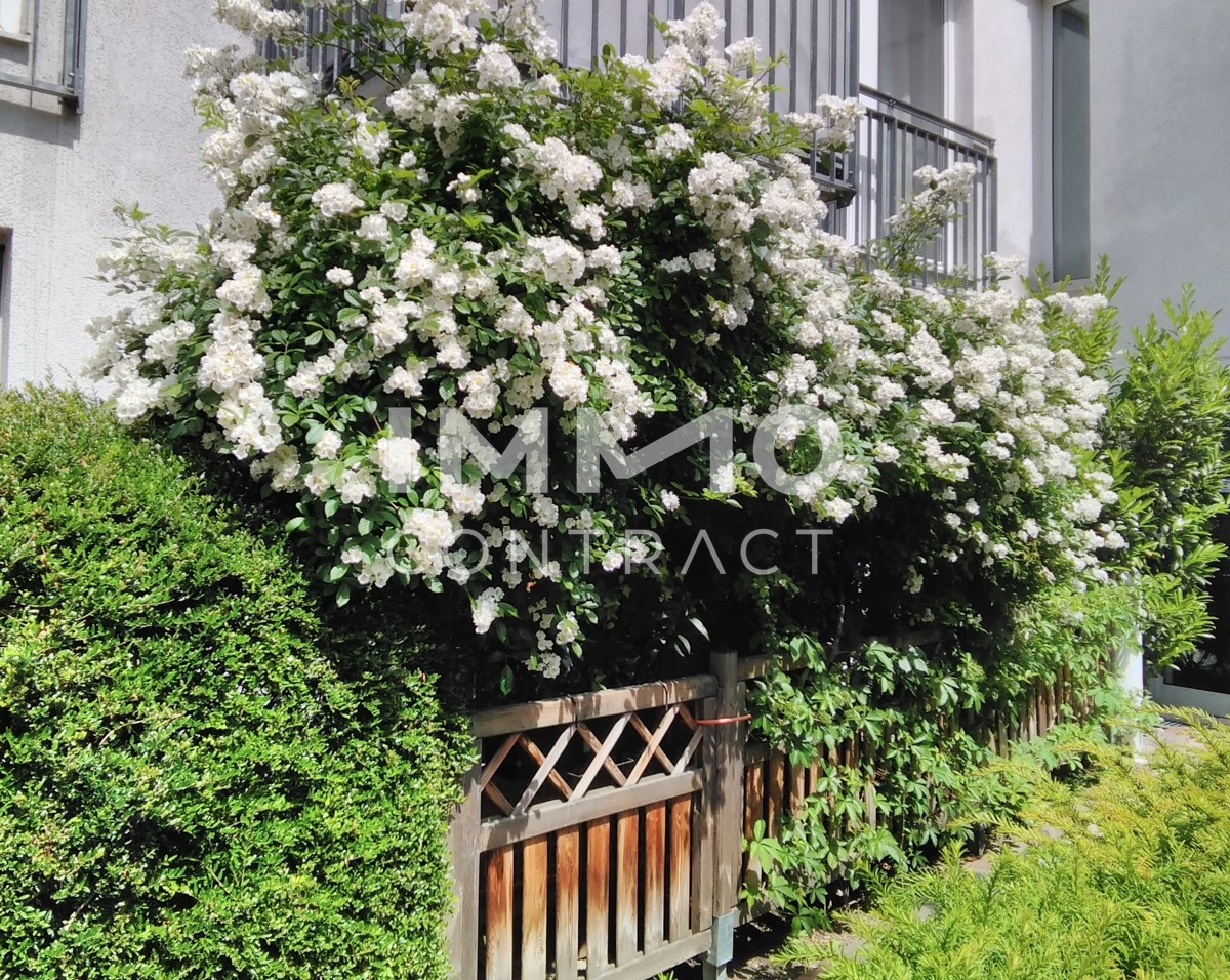 Ruhige und sonnige 2-Zimmer Wohnung mit Terrasse in der Kaisergasse 12 - 14 ,  Top 2 /  / 4020 Linz / Bild 8