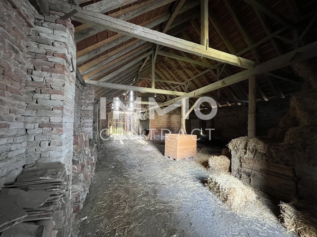 Bauernhof mit vielen Mglichkeiten im schnen Weinviertel /  / 2064 Wulzeshofen / Bild 9