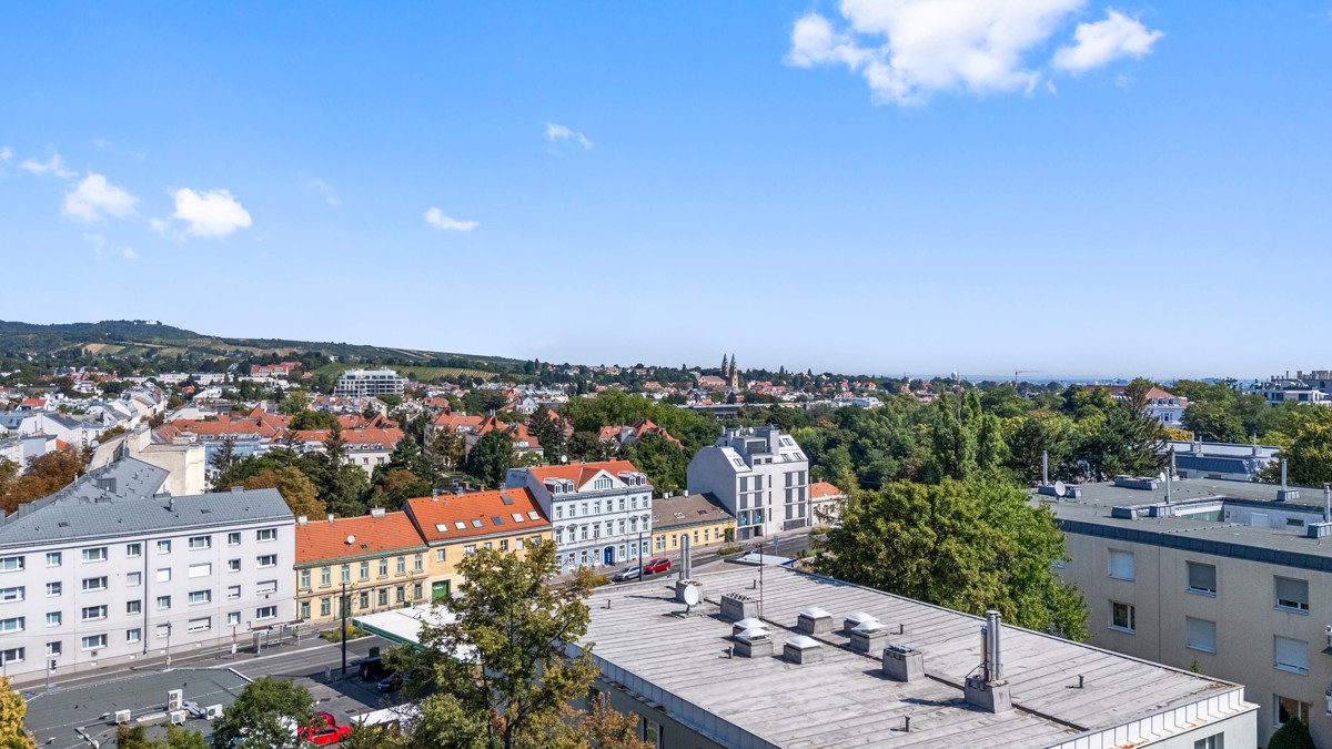 Penthouse - Palais & Villa - Ein Wohnjuwel der Extraklasse! 100m2 Terrasse /  / 1190 Wien / Bild 2