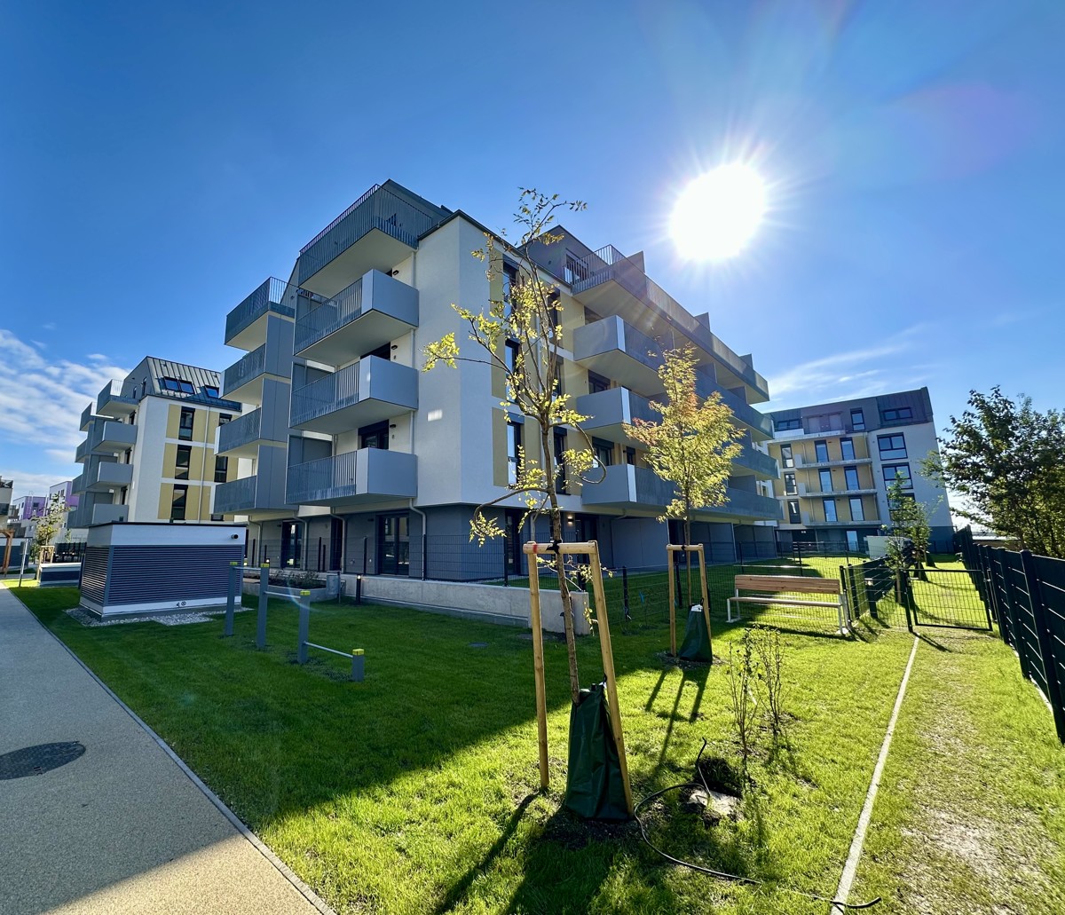 2 Monat Mietzinsfrei: 60m Dachgeschosswohnung mit Khlung & Blick ber die Felder /  / 1220 Wien / Bild 5