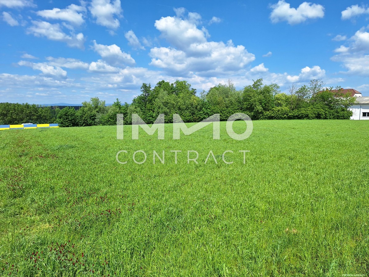 Betriebsbaugrund mit 4.872 m² direkt an der B1 auch erweiterbar! /  / 3311 Zeillern / Bild 1