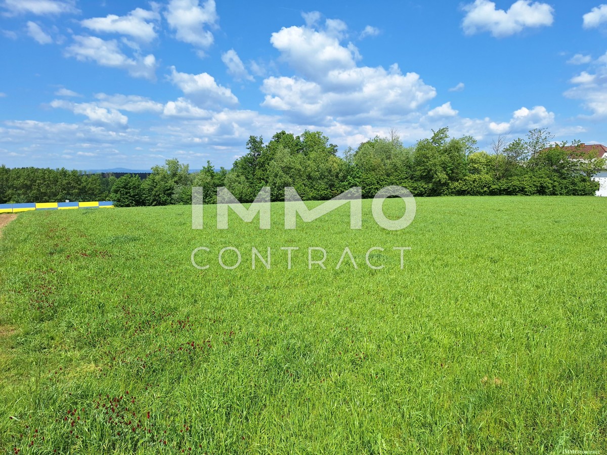 Betriebsbaugrund mit 4.872 m² direkt an der B1 auch erweiterbar! /  / 3311 Zeillern / Bild 3