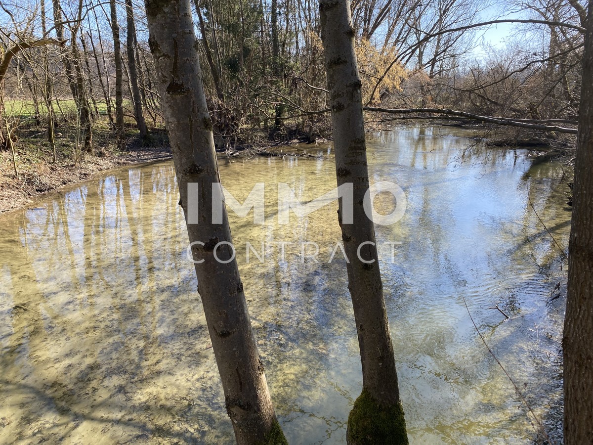 Etwas ganz Besonderes! /  / 4702 Wallern an der Trattnach / Bild 9