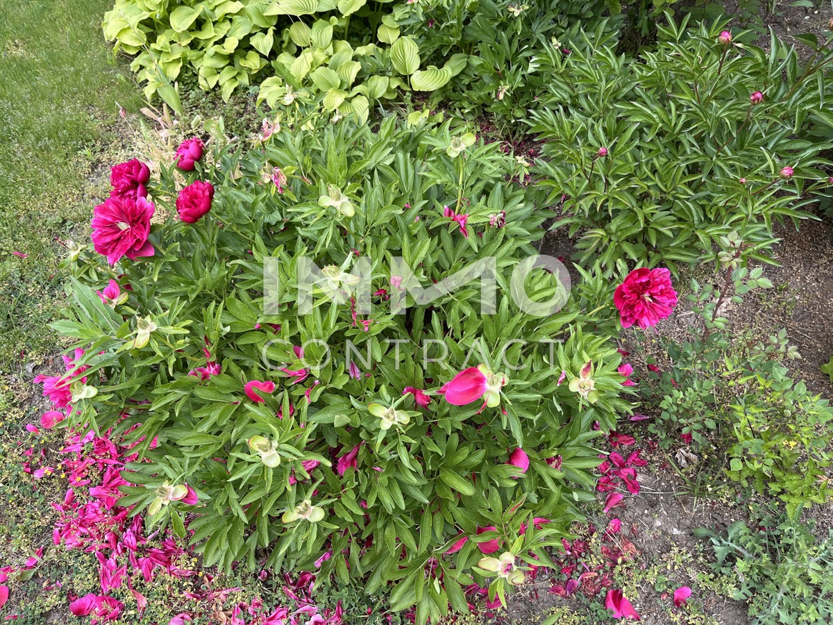 Haus in Mistelbach in Top Lage /  / 2130 Mistelbach / Bild 1