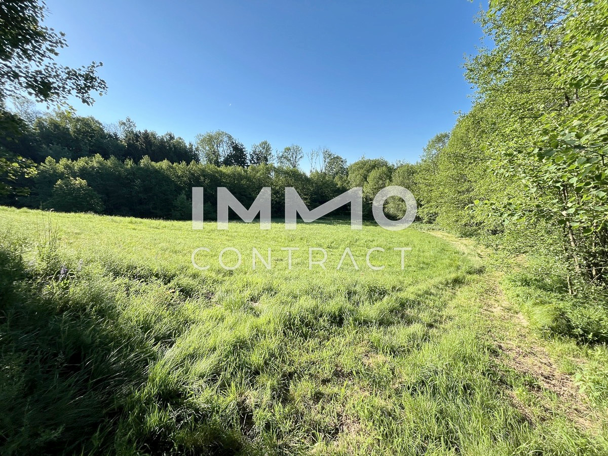 Erholung pur im eigenen Wald mit Bach und Wiesen nhe Amstetten /  / 3321 Ardagger Stift / Bild 2