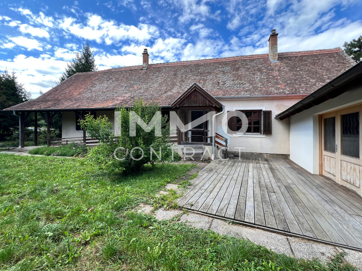 6Zi -Landhaus in idyllischer Lage am Kamp /  / 3562 Schnberg am Kamp / Bild 2