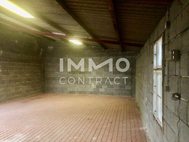 LANDHAUS mit Innenhof + BAULAND mit Garagengebäude / / 2061 Hadres / Bild 7