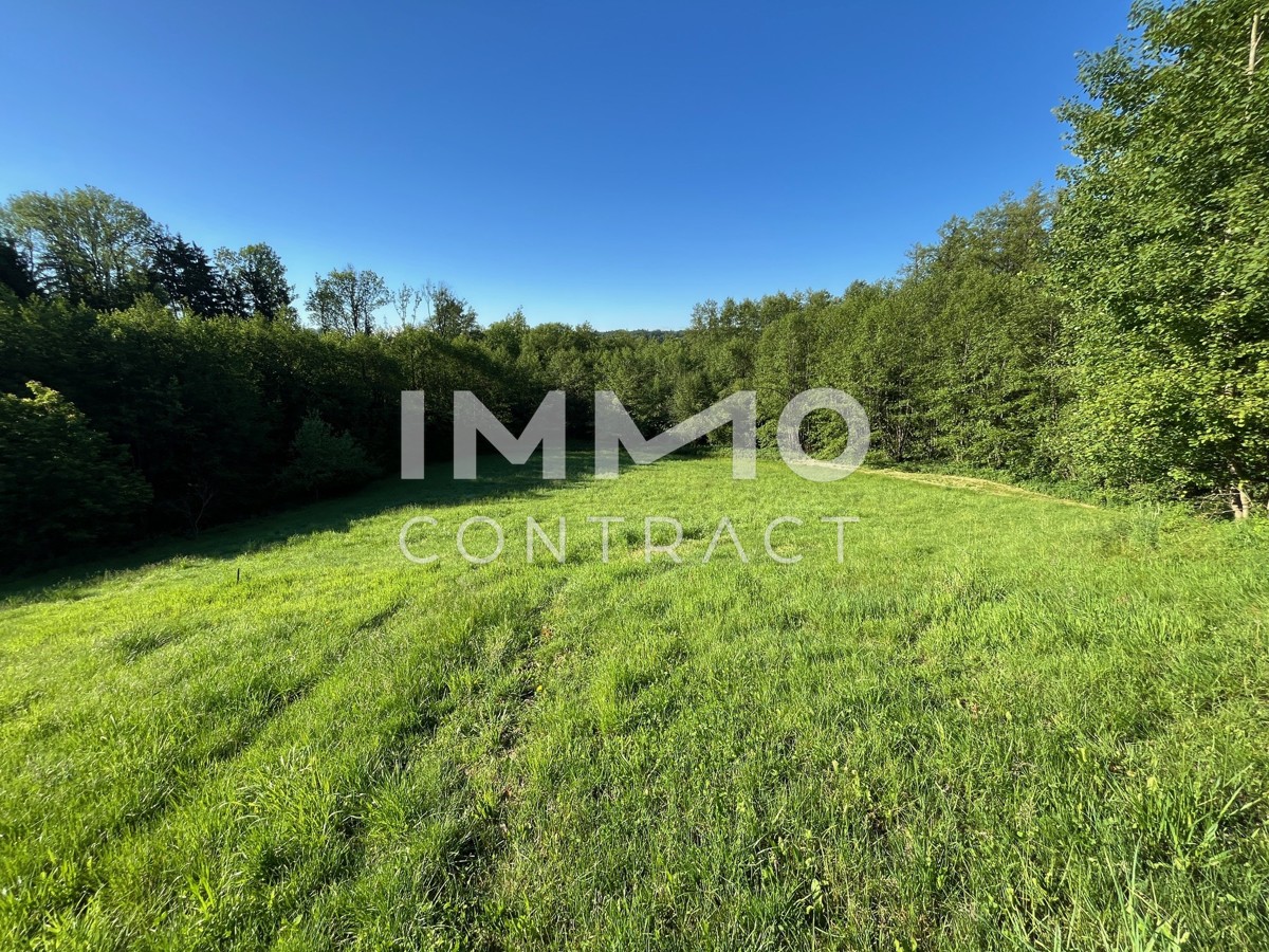 Erholung pur im eigenen Wald mit Bach und Wiesen nhe Amstetten /  / 3321 Ardagger Stift / Bild 6