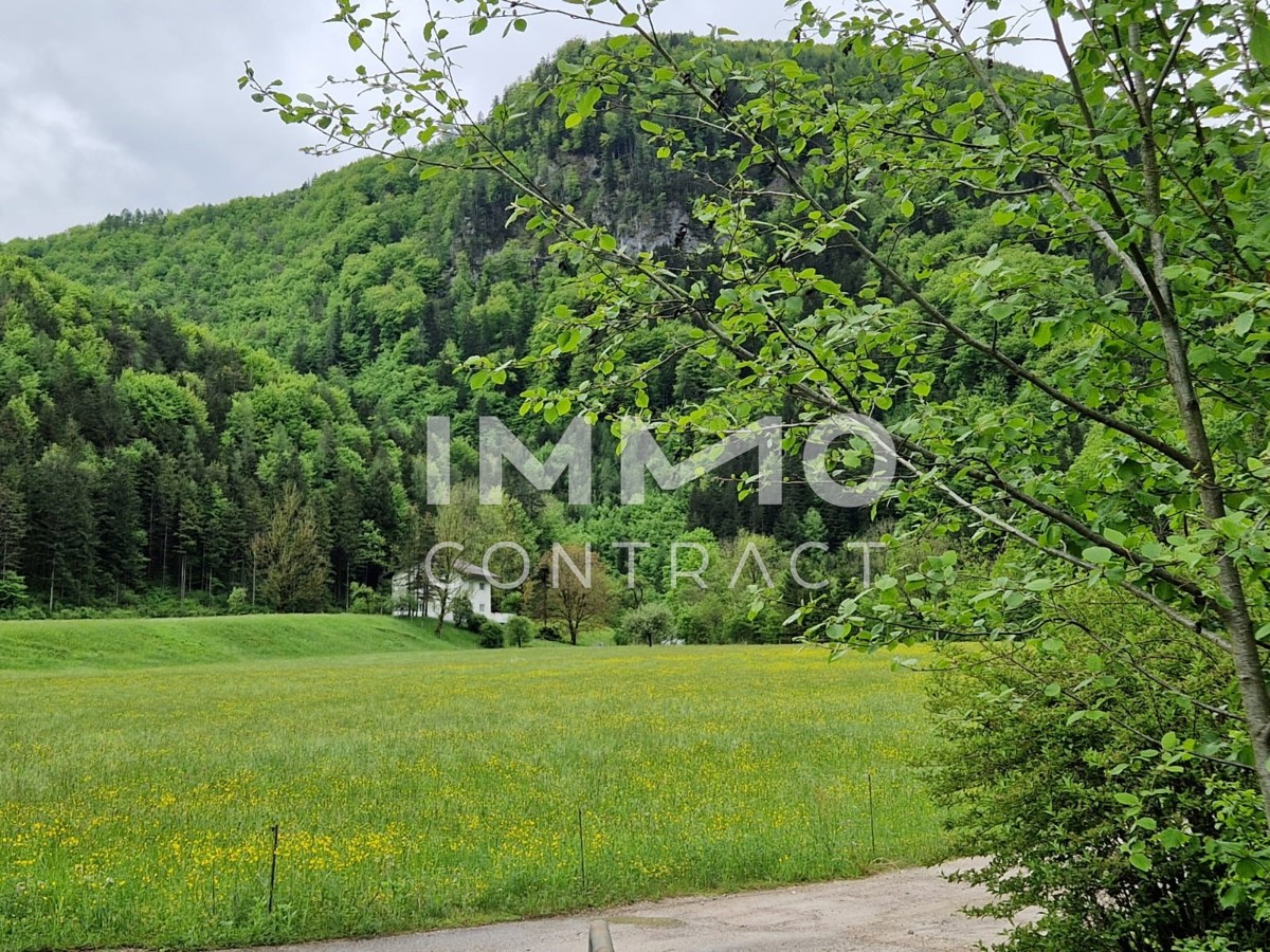 Zweifamilienhaus - absolute Alleinlage / / 3291 Kienberg / Bild 4