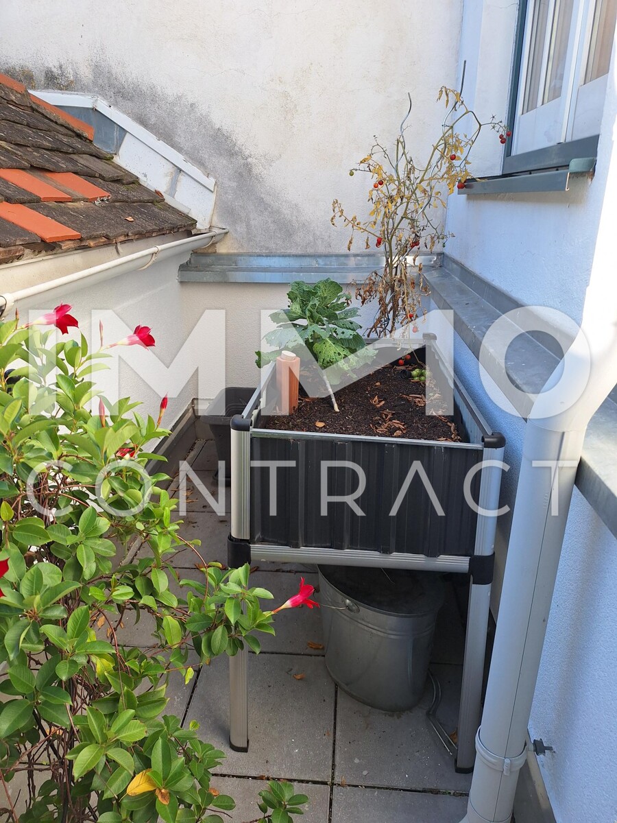 Stammersdorf! Ideal fr Investoren, aber auch fr Kufer mit Weitblick /  / 1210 Wien / Bild 5