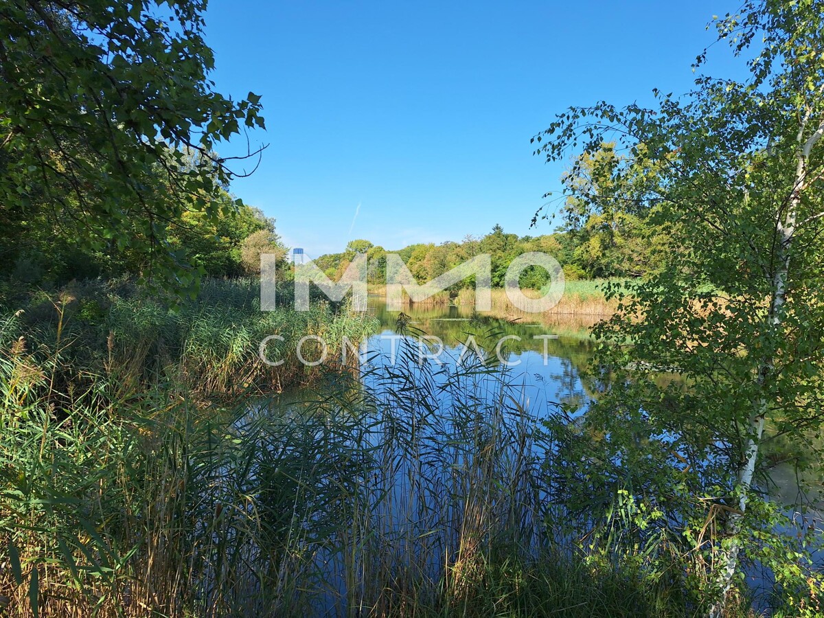 Freizeitoase beim Mhlwasser; gnstiges Pachtgrundstck mit toller Ausstattung /  / 1220 Wien / Bild 7