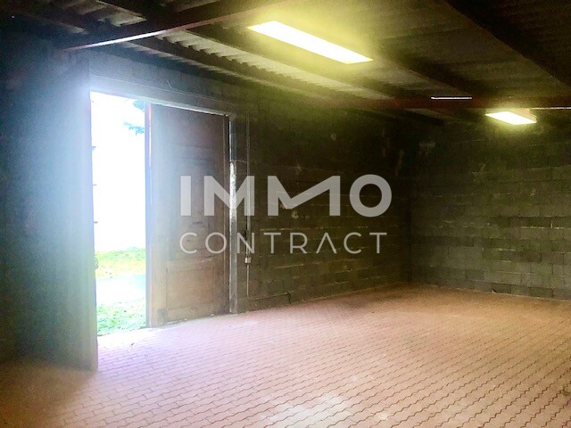 LANDHAUS mit Innenhof + BAULAND mit Garagengebäude / / 2061 Hadres / Bild 8