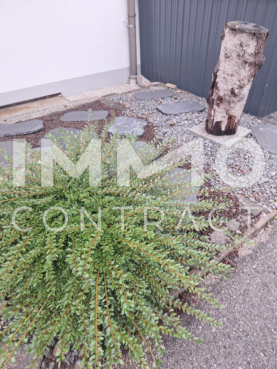  /  / 4850 Timelkam / Bild 1