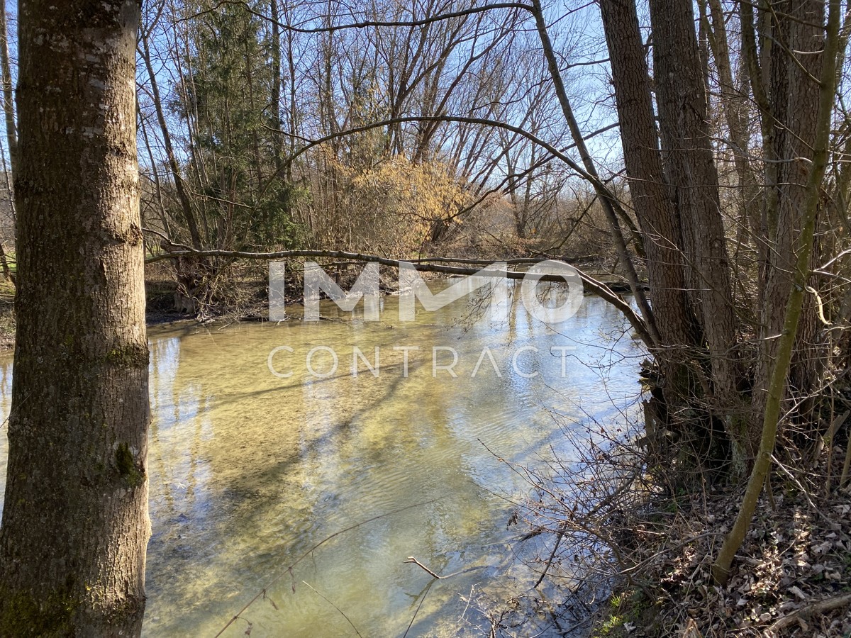 Etwas ganz Besonderes! /  / 4702 Wallern an der Trattnach / Bild 0