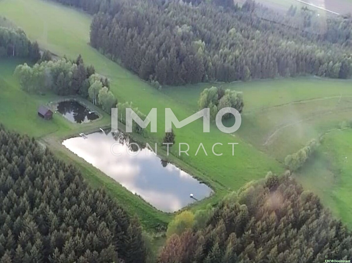 Groes Grundstck mit Fischteich und Badeteich, Erholungsanlage, Freizeitparadies mit viel Potenzial /  / 3632 Bad Traunstein / Bild 5