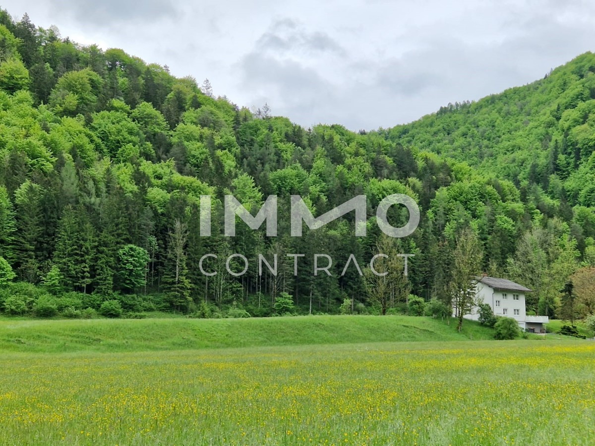 Zweifamilienhaus - absolute Alleinlage / / 3291 Kienberg / Bild 9