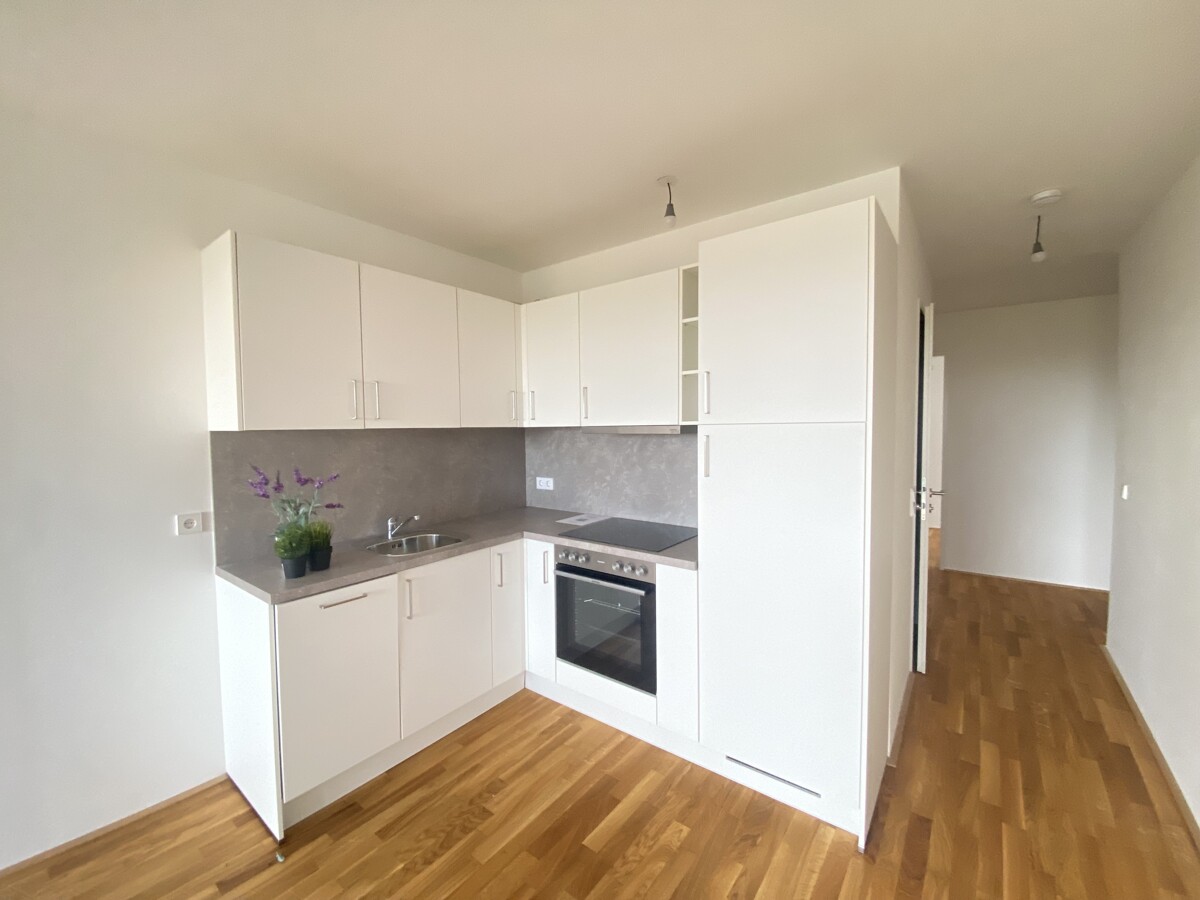 ERSTBEZUG Top Wohnung U3 2 Zimmer + Loggia - 1 bedroom apartment + loggia U3 /  / 1110 Wien / Bild 2