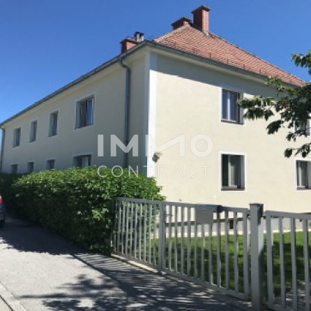 Vierzimmerwohnung im Sdburgenland - Mit Gemeinschaftsgarten, auch mit Gemseanbau , grne Ruhelage /  / 7432 Oberschtzen / Bild 8