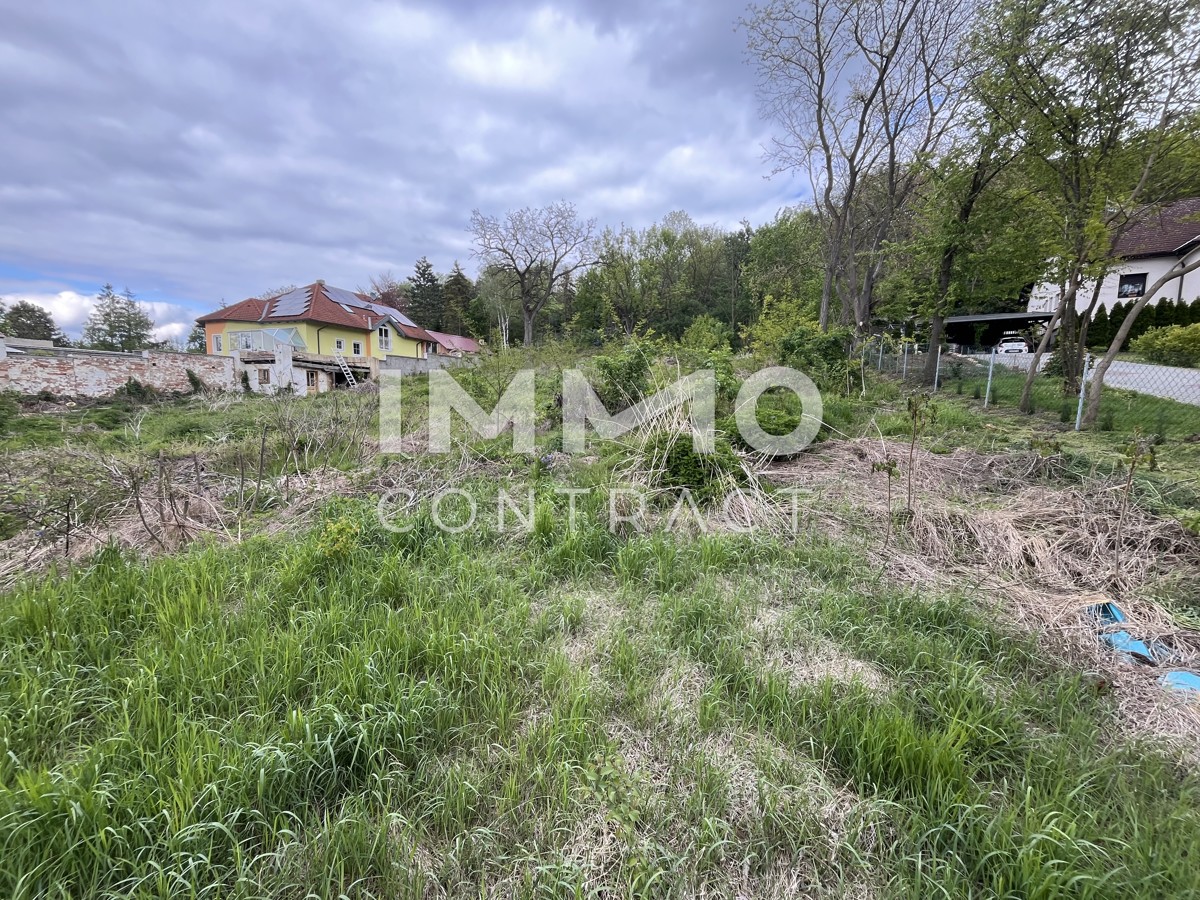 Verwirklichen Sie ihren Traum
Grundstck mit 5273 m Bauland Agrar /  / 2134 Enzersdorf bei Staatz / Bild 6