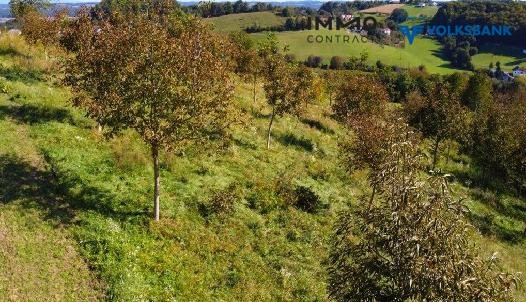 Landwirtschaftliche Gebude in sonniger Hgellandschaft mit neuem Stromanschluss und Zhlerkasten /  / 8380 Henndorf im Burgenland / Bild 1