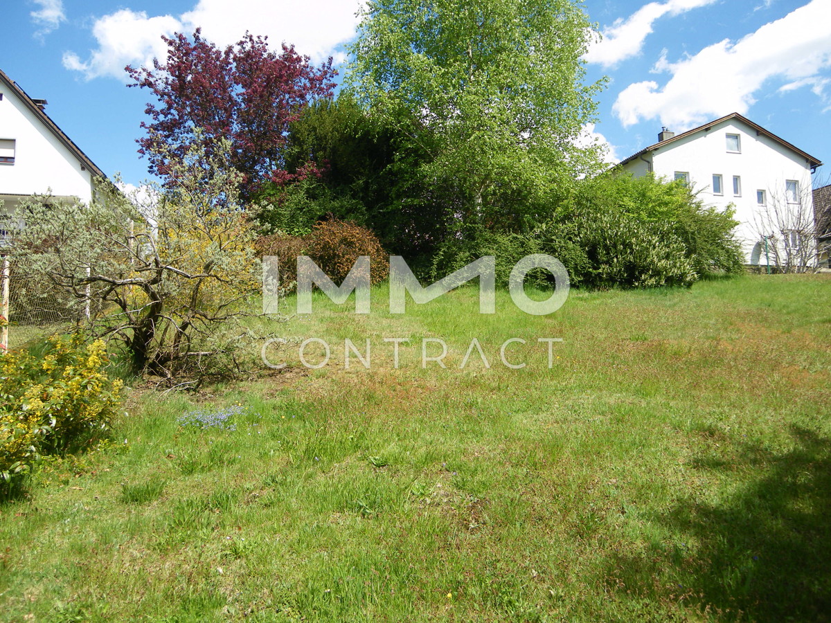 Heidenreichstein - Haus mit Gartenidyll /  / 3860 Heidenreichstein / Bild 9