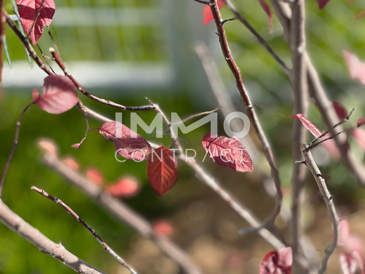 KREMSER WOHNDOMIZIL
4Zi- 109qm- Gartenwohnung, Lift, 
Tiefgarage, in beliebter Grnruhelage /  / 3500 Krems / Bild 9