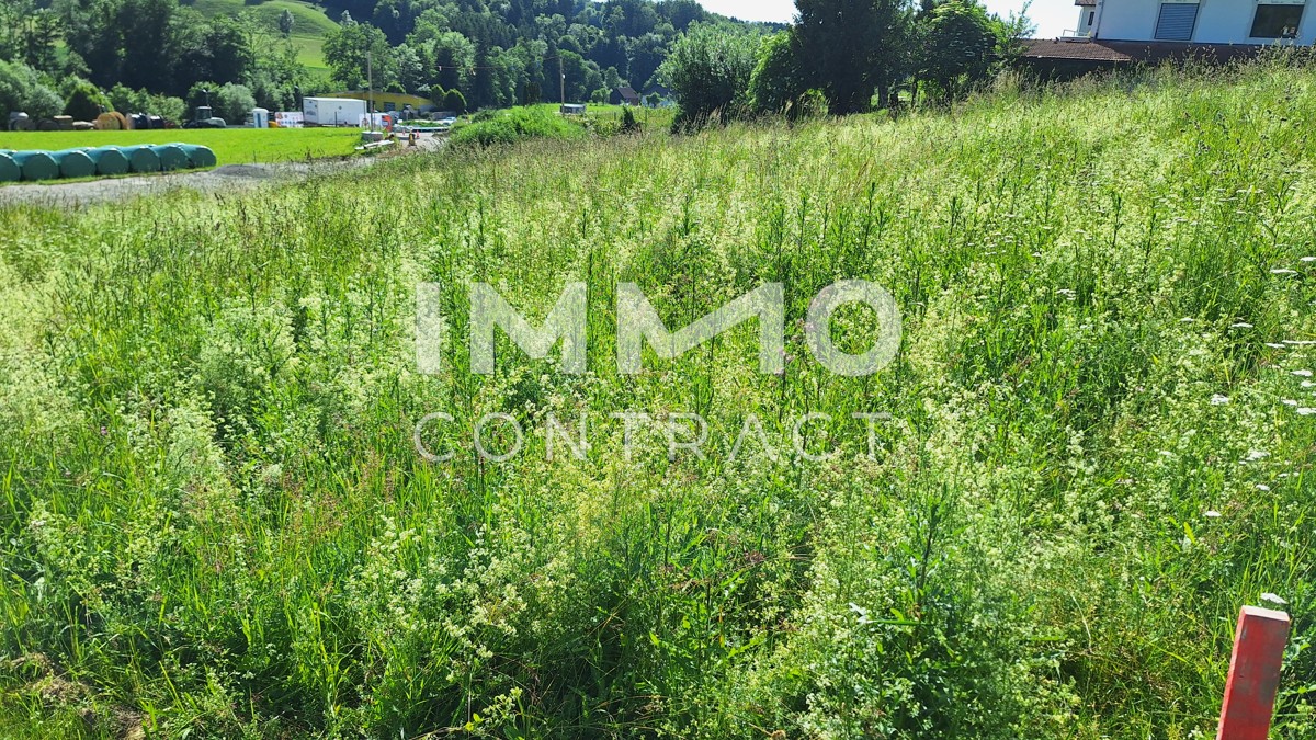 Baugrund in neu aufgeschlossener Siedlung mit Blick auf den Damberg - Nhe Steyr /  / 4441 Behamberg / Bild 3
