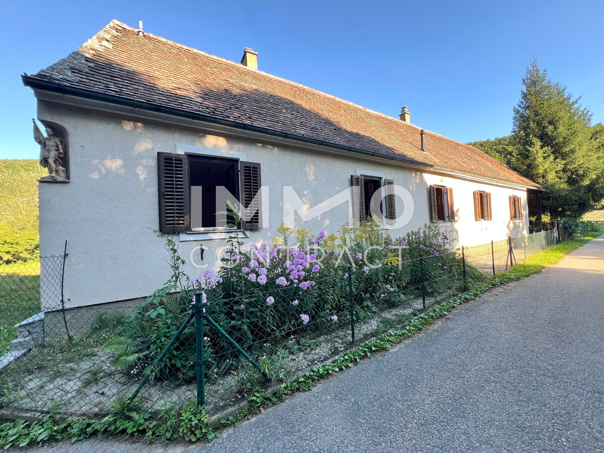 6Zi -Landhaus in idyllischer Lage am Kamp /  / 3562 Schnberg am Kamp / Bild 3