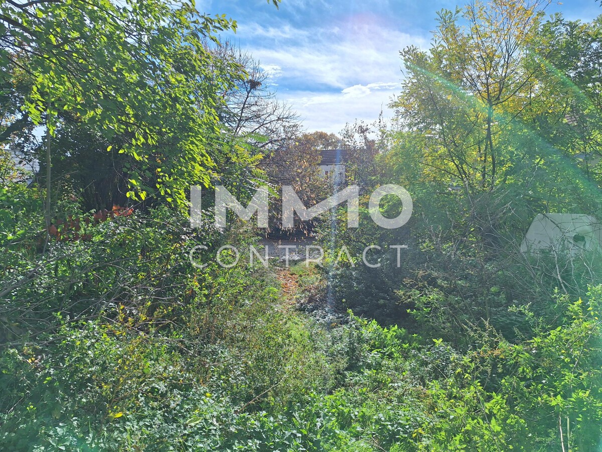 Winzerhof-Grundstck mit Entwicklungspotenzial in Stammersdorf; Laut Studie 1.550m erzielbare Wohnnutzflche mglich /  / 1210 Wien / Bild 5