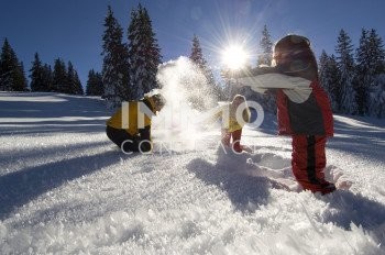 sonniges, ebenes Grundstck! /  / 4644 Scharnstein / Bild 4