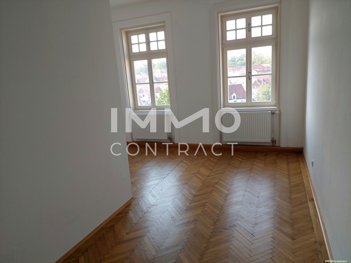 Traumhaft - Altbauflair - 5 Zimmer 166m  Wohnung mit kleiner Loggia in Steyr - nahe Zentrum /  / 4400 Steyr / Bild 1