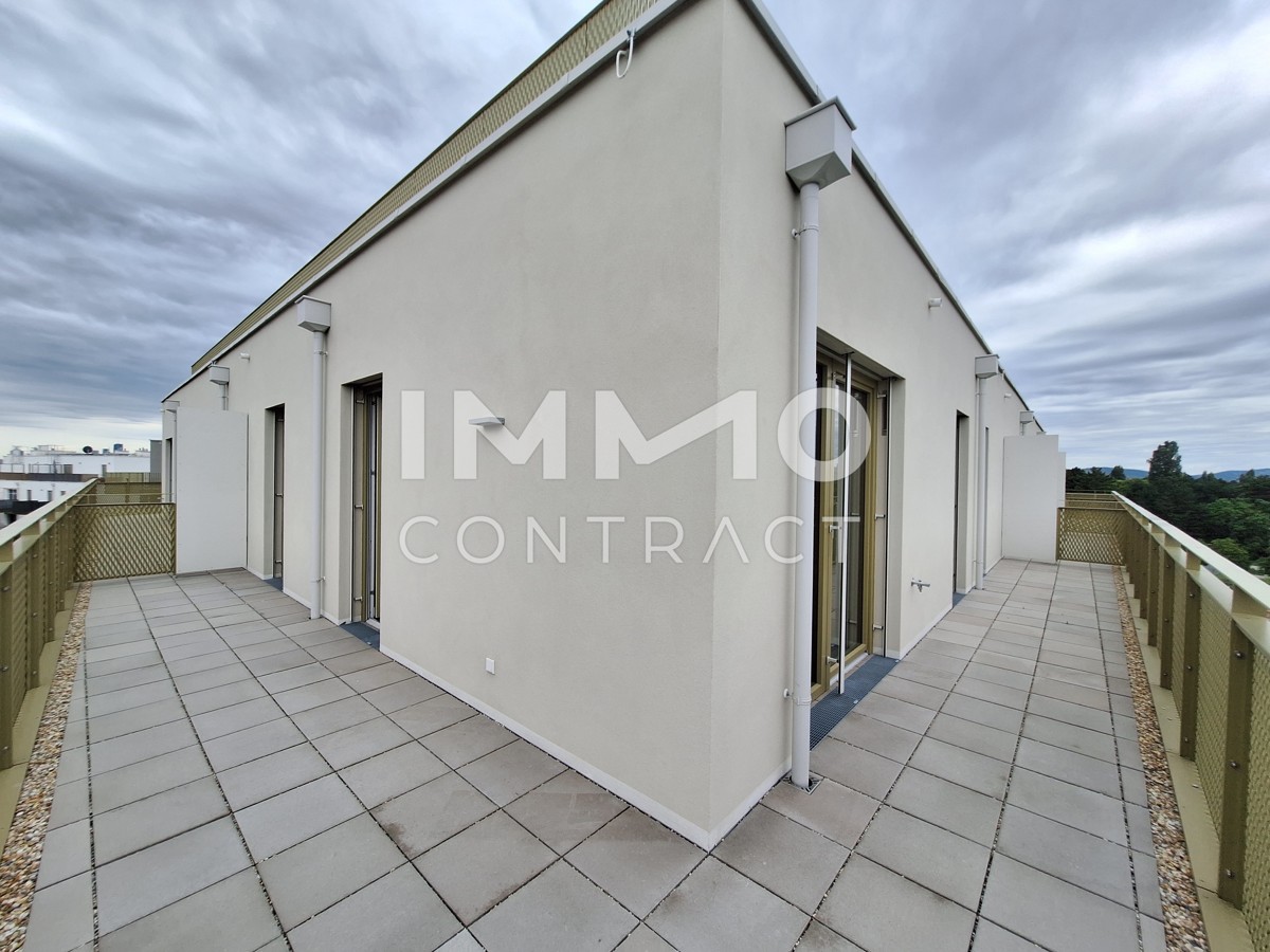 Terrassenwohnung mit Weitblick /  / 1210 Wien / Bild 5