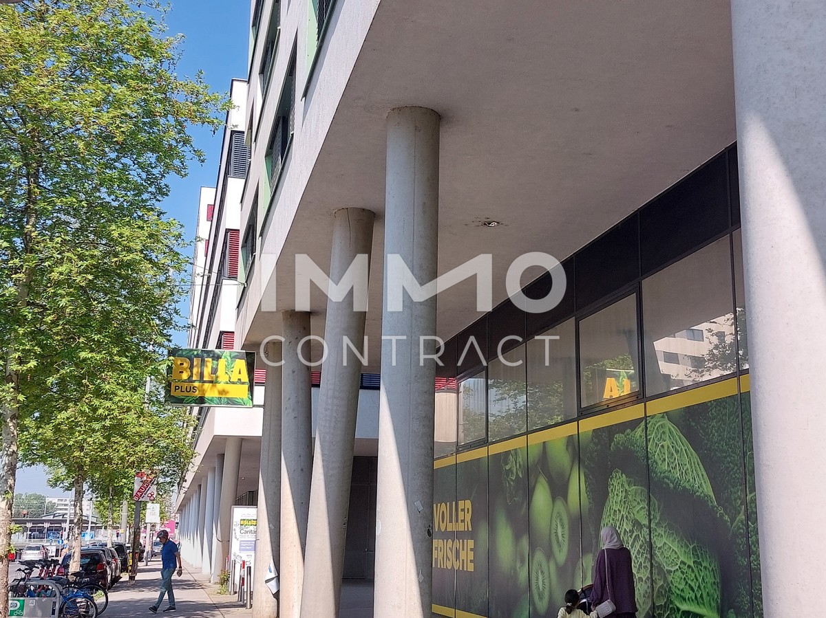 Immobilienprojekt zum Kauf: 27 Wohnungen, 1 Bro und 9 Tiefgaragenpltze NEUBAU! Komplett vermietet /  / 1220 Wien / Bild 2