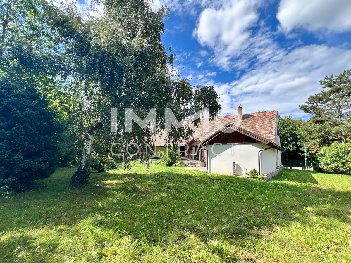 6Zi -Landhaus in idyllischer Lage am Kamp /  / 3562 Schnberg am Kamp / Bild 8