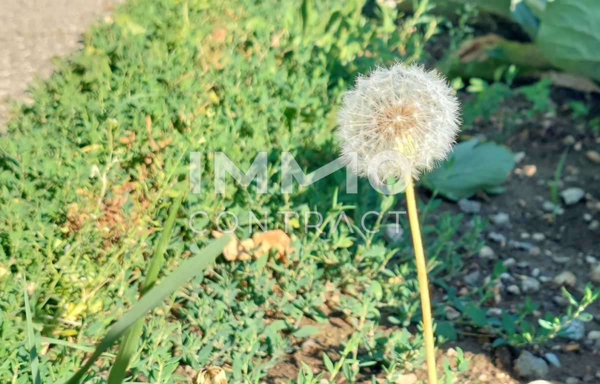 Sonnige 2-Zimmer Gartenwohnung in ruhiger Lage ideal für Anleger - Erstbezug / provisionsfrei!